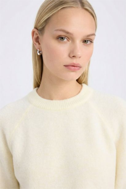 Regular Fit Crew Neck Basic Knit Pullover