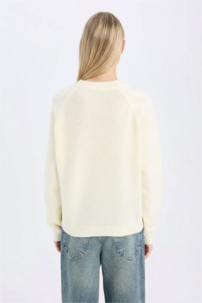 Regular Fit Crew Neck Basic Knit Pullover