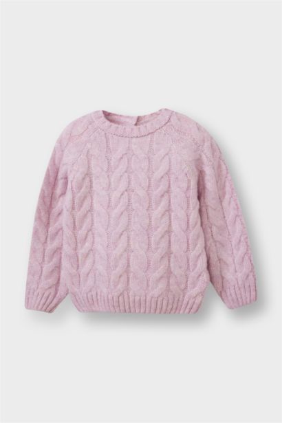 Baby Girl Regular Fit Crew Neck Knit Pullover