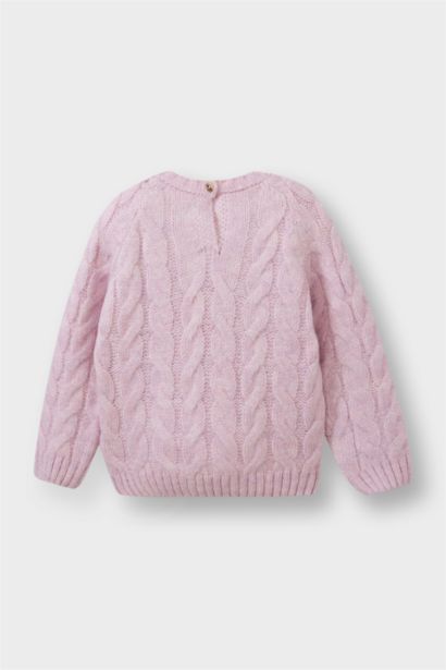 Baby Girl Regular Fit Crew Neck Knit Pullover