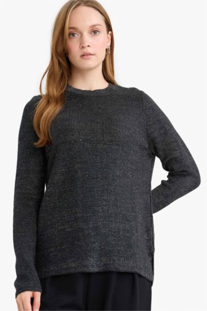 Regular Fit Glitter Fabric Knitwear Pullover
