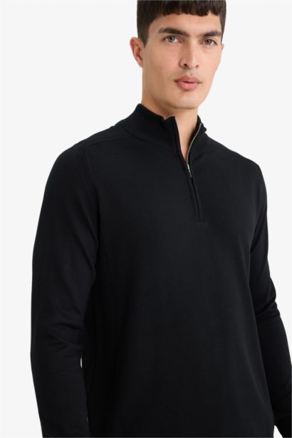 Standard Fit Stand Collar Half Zippered Knit Pullover