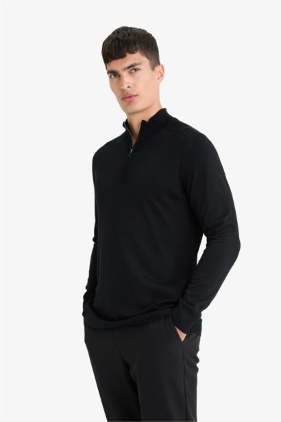 Standard Fit Stand Collar Half Zippered Knit Pullover