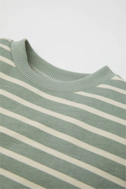 Baby Boy Crew Neck Striped Sweatshirt