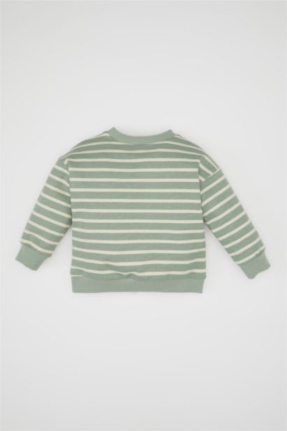 Baby Boy Crew Neck Striped Sweatshirt