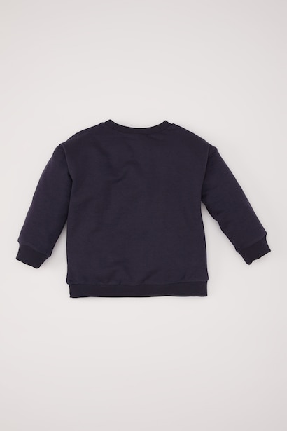 Baby Boy Crew Neck Printed Sweatshirt