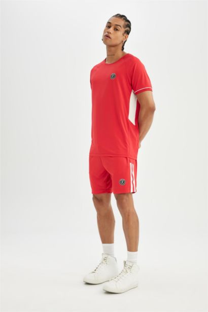 Standard Fit Crew Neck Printed Heavy Fabric Sports T-Shirt