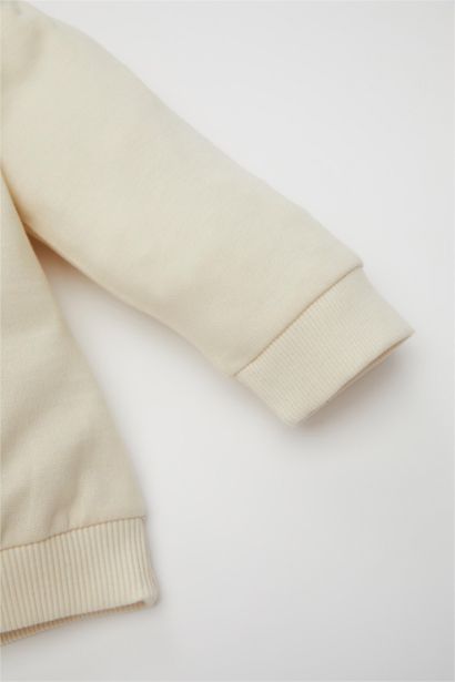 Regular Fit Crew Neck Sweatshirt