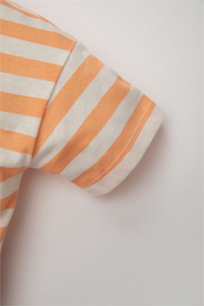 Baby Boy Regular Fit Striped T-Shirt