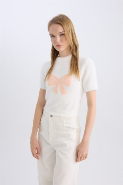 Regular Fit Knitwear Pullover