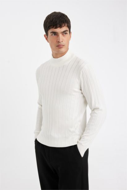 Pull Tricot à Col roulé Coupe standard