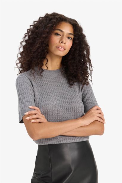 Regular Fit Crew Neck Short Sleeve Knit Pullover