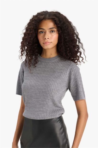 Regular Fit Crew Neck Short Sleeve Knit Pullover