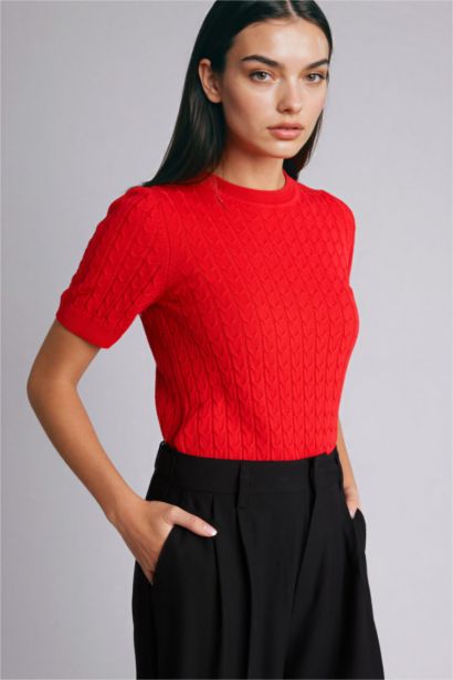 Regular Fit Crew Neck Pullover