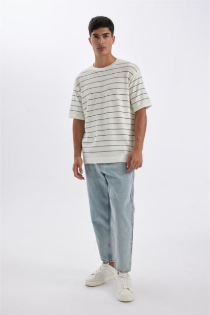 Standard Fit Crew Neck Cotton Striped T-Shirt