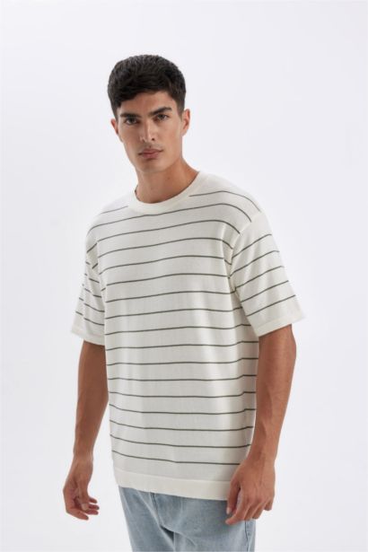 Standard Fit Crew Neck Cotton Striped T-Shirt