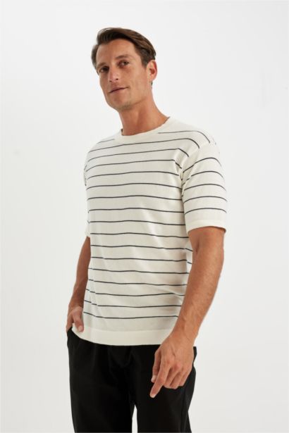 Standard Fit Crew Neck Striped Cotton Short Sleeve T-Shirt
