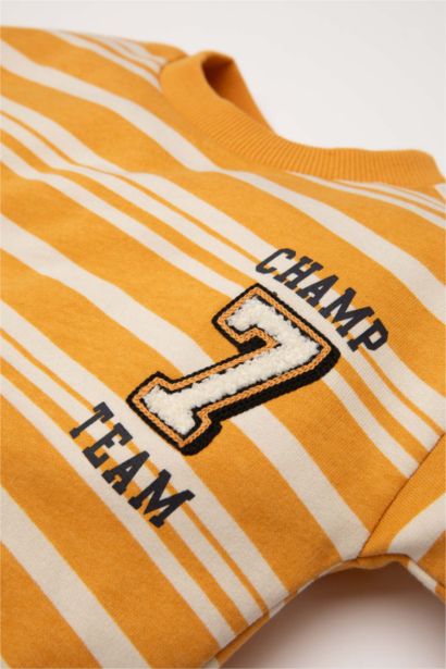 Sweat-shirt à col rond rayé avec intérieur doux pour Bébé Garçon