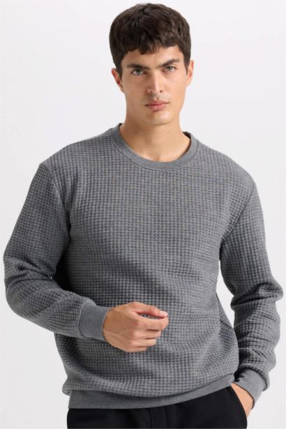 Gri Regular Fit Bisiklet Yaka Jakarlı Sweatshirt