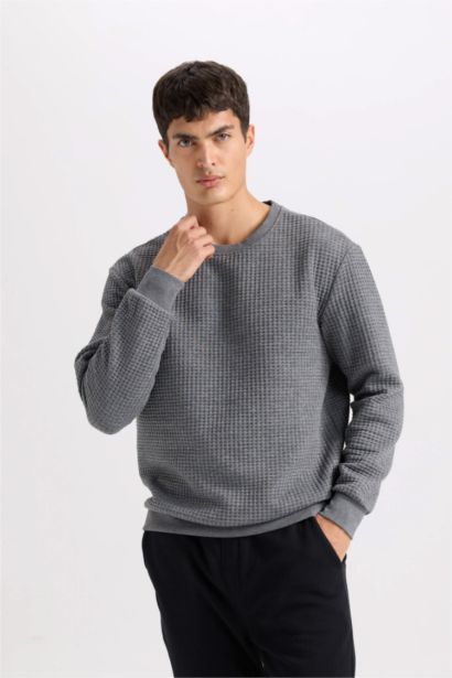 Gri Regular Fit Bisiklet Yaka Jakarlı Sweatshirt