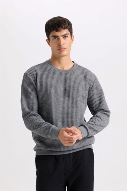 Gri Regular Fit Bisiklet Yaka Jakarlı Sweatshirt
