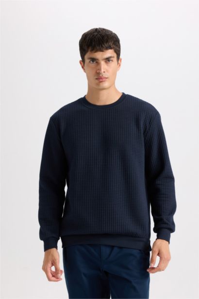 Regular Fit Crew Neck Jacquard Sweatshirt