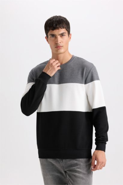 Regular Fit Bisiklet Yaka Jakarlı Sweatshirt