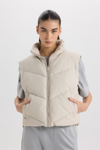 Regular Fit Stand Collar Quilted Zippered Puffer Vest