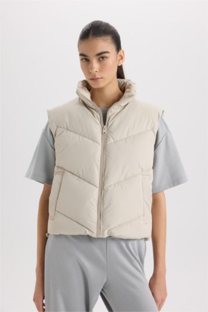 Regular Fit Stand Collar Quilted Zippered Puffer Vest
