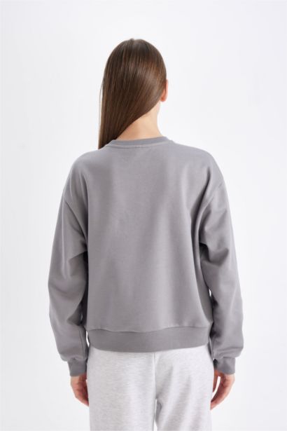 Sweat-shirt imprimé Coupe régulière à Col rond et à manches longues