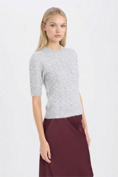 Regular Fit Crew Neck Basic Half Sleeve Knitwear Pullover