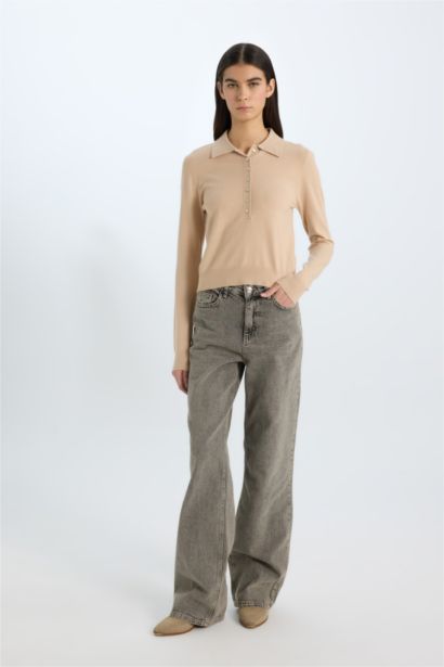 қалыпты пішім поло жаға Пулловер