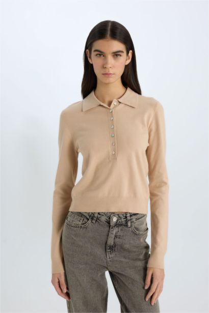 қалыпты пішім поло жаға Пулловер