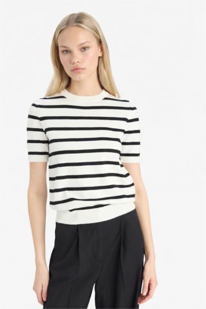 Regular Fit Crew Neck Striped Pullover