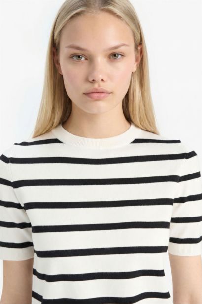 Regular Fit Crew Neck Striped Pullover