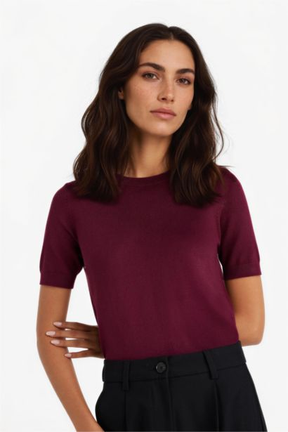 Regular Fit Crew Neck Short Sleeve Knit Pullover