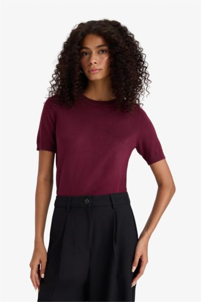 Regular Fit Crew Neck Short Sleeve Knit Pullover