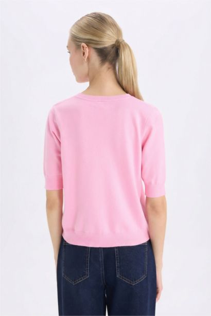 Regular Fit Crew Neck Pullover