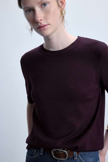 Regular Fit Burgundy Crew Neck Sweater