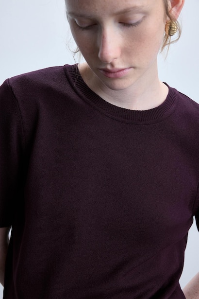 Regular Fit Burgundy Crew Neck Sweater