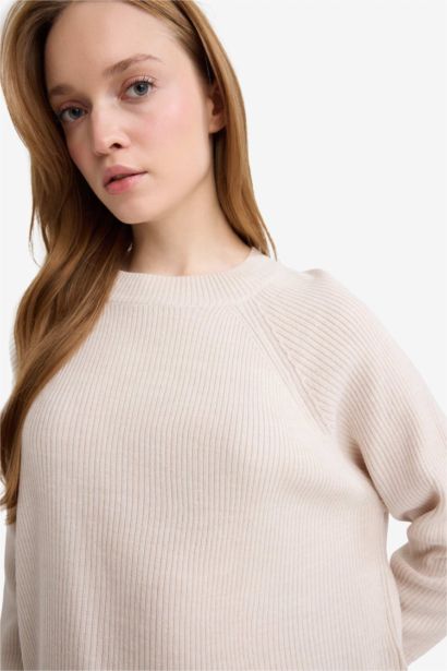 Regular Fit Crew Neck Pullover