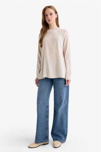 Regular Fit Crew Neck Pullover