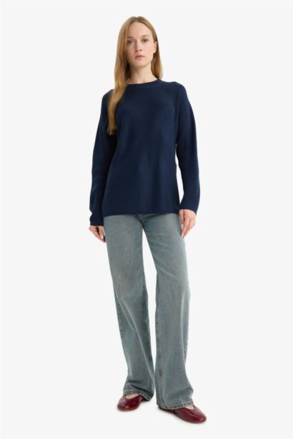 Regular Fit Crew Neck Basic Pullover