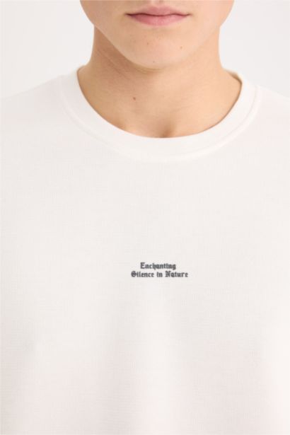 Boxy Fit Crew Neck Printed Short Sleeve T-Shirt