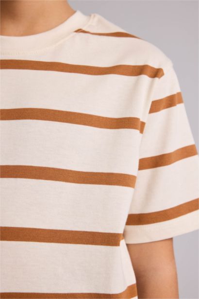Regular Fit Striped Short Sleeve T-Shirt