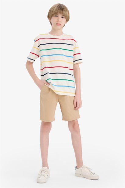 Boy Regular Fit Crew Neck Striped T-Shirt