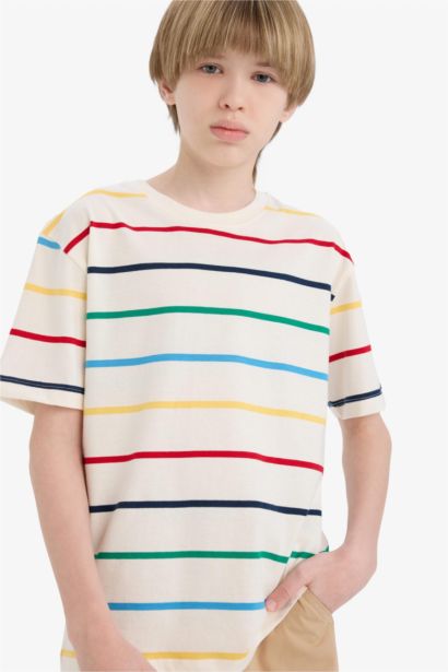 Boy Regular Fit Crew Neck Striped T-Shirt