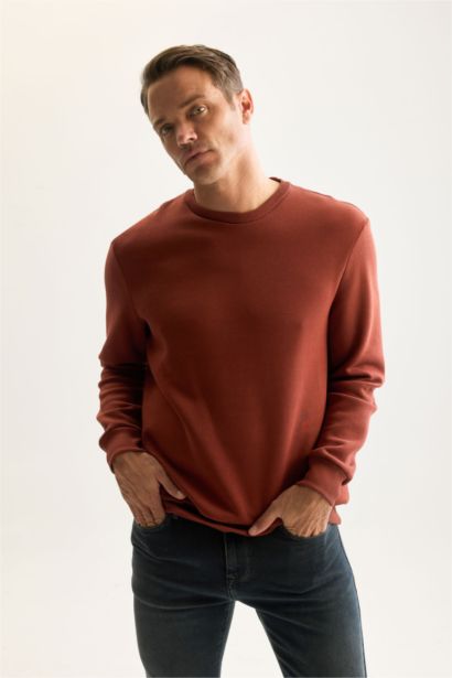 Regular Fit Thick Sweatshirt Fabric Sweatshirt