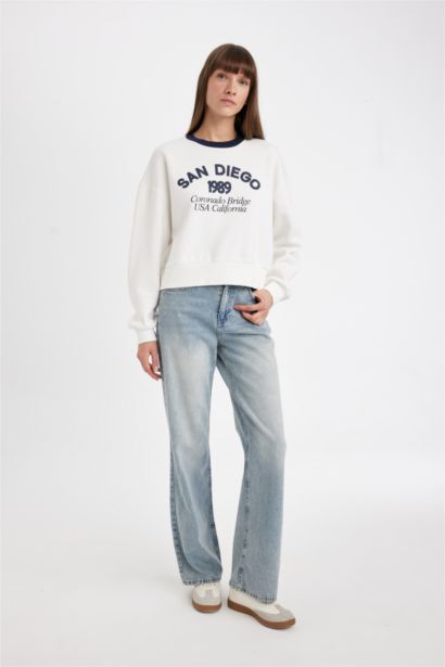 Boxy Fit Printed Thick Casual Sweatshirt