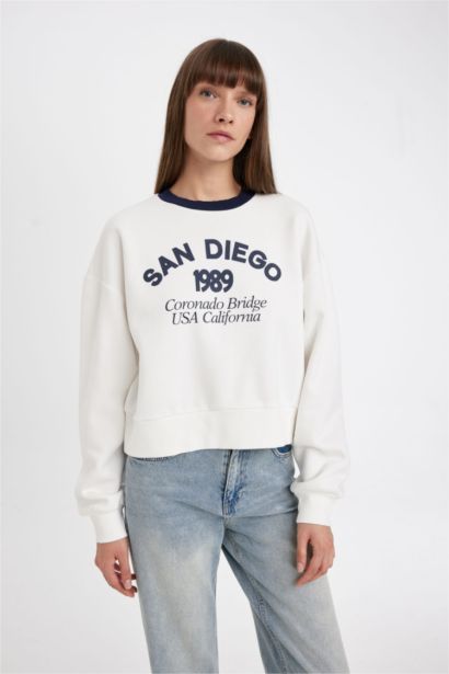 Boxy Fit Printed Thick Casual Sweatshirt